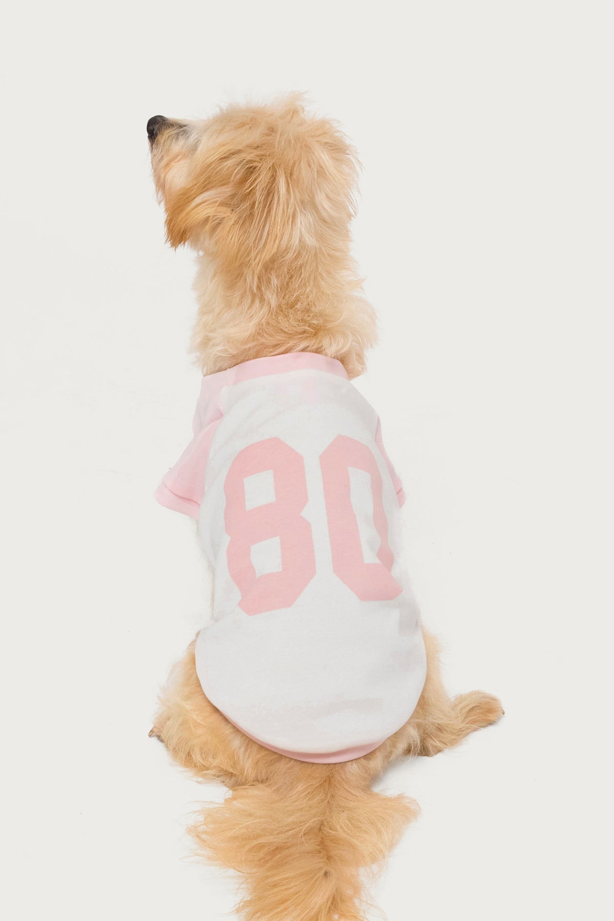 80's Raglan Pet T Shirt