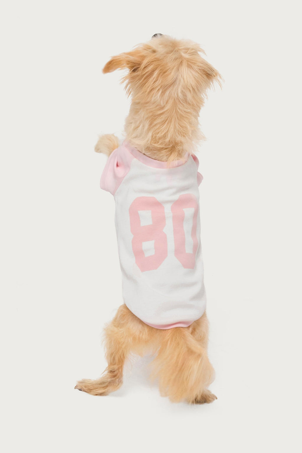 80's Raglan Pet T Shirt